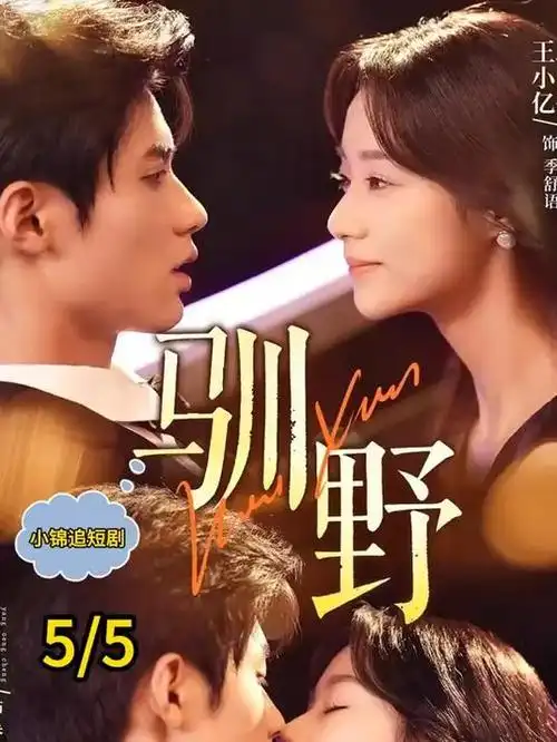 双城谜案 犯罪悬疑剧集手机在线观看
